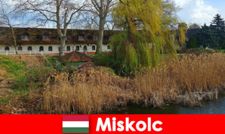 Vergelijk hotel- en accommodatieprijzen in Miskolc Hongarije loont de moeite