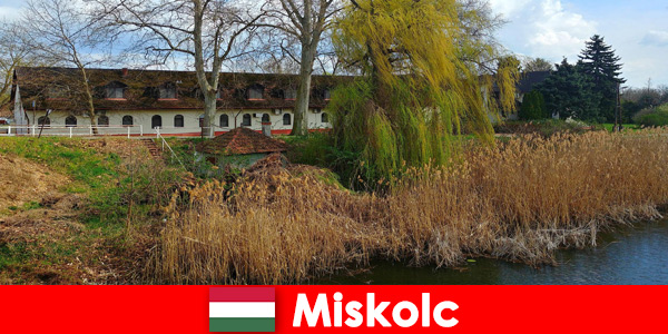 Vergelijk hotel- en accommodatieprijzen in Miskolc Hongarije loont de moeite