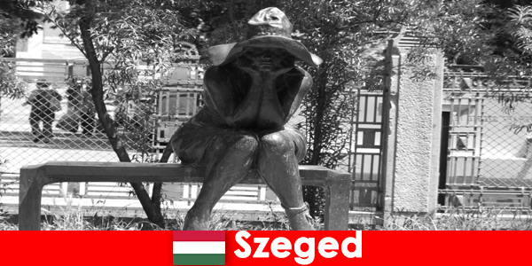 Er zijn talloze stenen figuren te bewonderen in Szeged, Hongarije