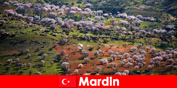 Ervaar de ongerepte natuur en veel inheemse dieren buiten in Mardin, Turkije