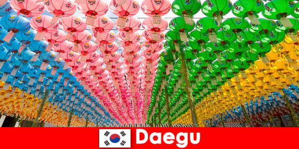 Reisbestemming met familie naar Daegu Zuid-Korea Ervaar diversiteit