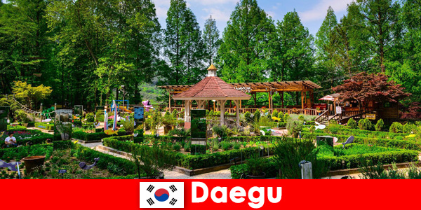 Daegu in Zuid-Korea de stad met diversiteit en vele bezienswaardigheden