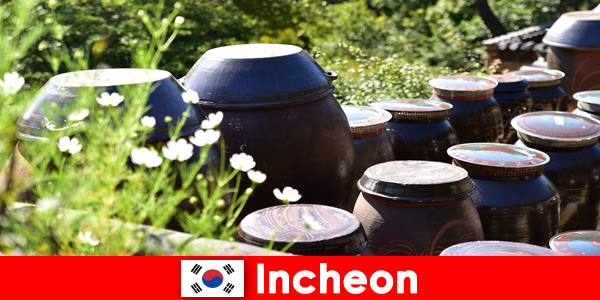 Observeer bergmeren en een verscheidenheid aan planten in Incheon, Zuid-Korea