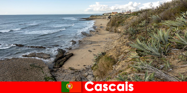 Lange wandelingen maken en optimaal genieten van de omgeving in Cascais Portugal