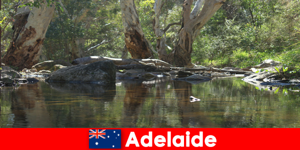 Ervaar de natuur op zijn best in Adelaide