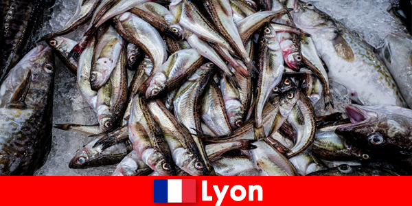 Verse vis en zeevruchten tot in de perfectie bereid om van te genieten in Lyon