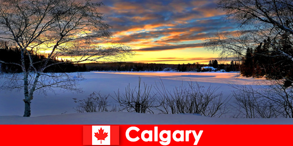 Geniet van een winterlandschap met een bijzondere sfeer voor vakantiegangers in Calgary
